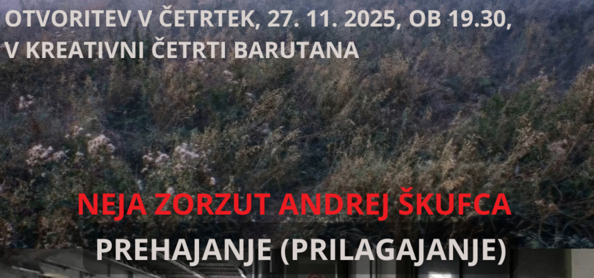 PREHAJANJE (PRILAGAJANJE)