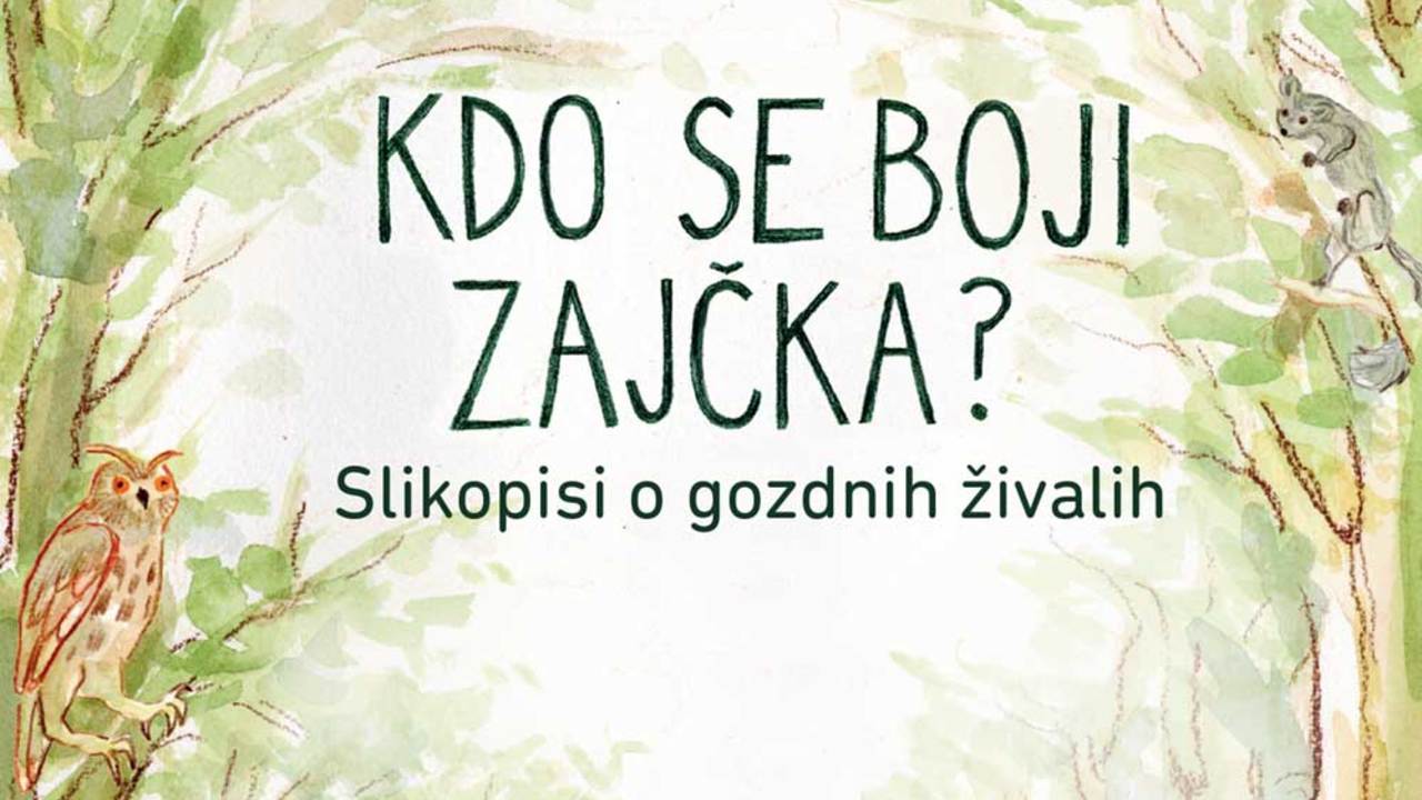 Kdo se boji zajčka? – Slikopisi o gozdnih živalih