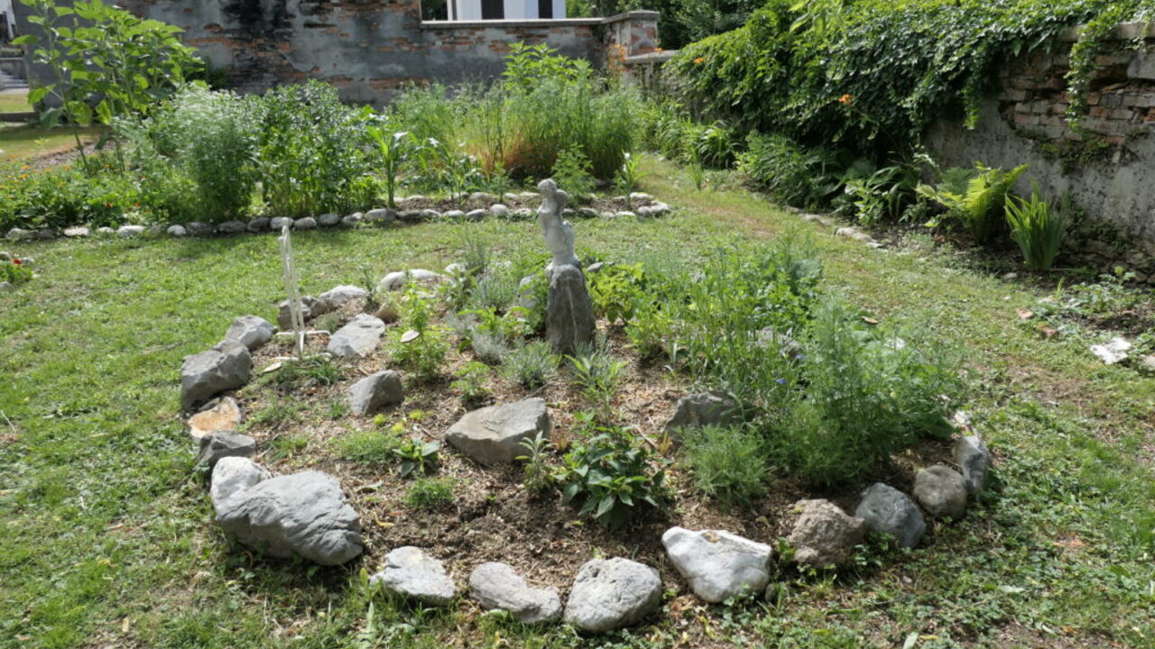 Kuhinjska zelišča in njihova uporaba, delavnica