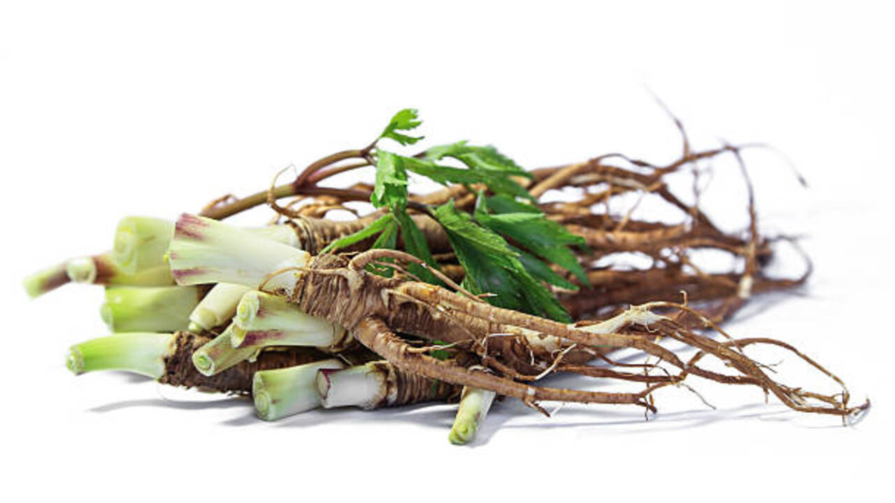 Koreninice za zdravje, delavnica