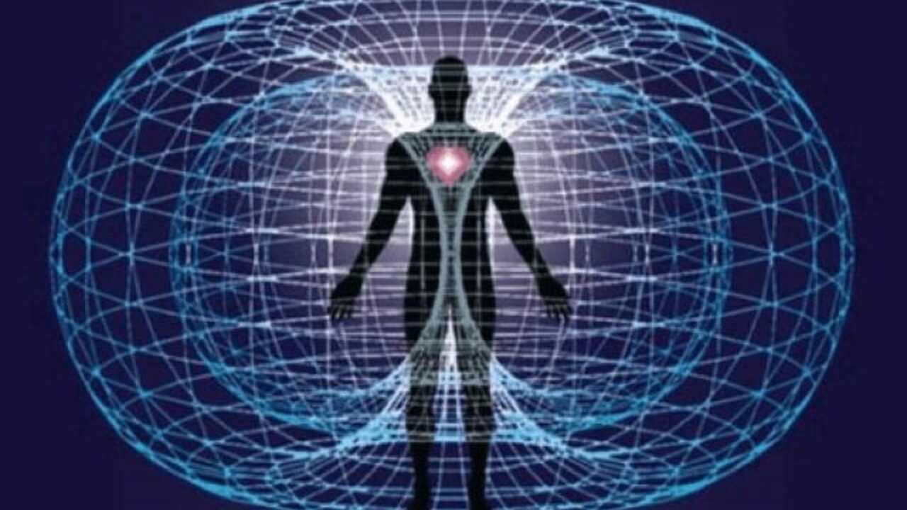 Tokovi telesa in duhovni ustroj, delavnica